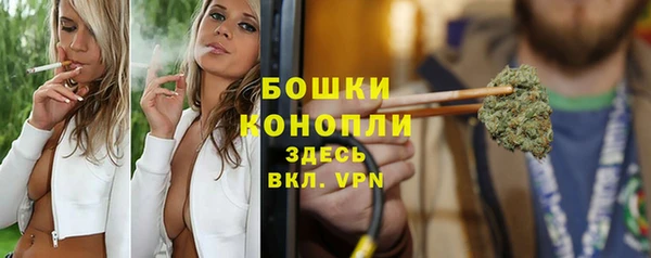 гидра Новодвинск