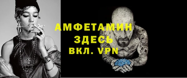 гидра Новодвинск