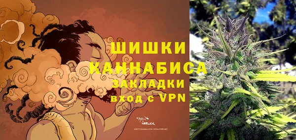 гидра Новодвинск