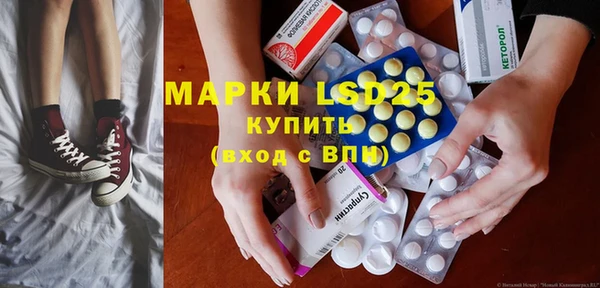 гидра Новодвинск