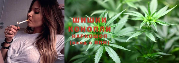 гидра Новодвинск