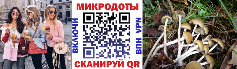 Галлюциногенные грибы мухоморы где продают наркотики кракен рабочий сайт Домодедово