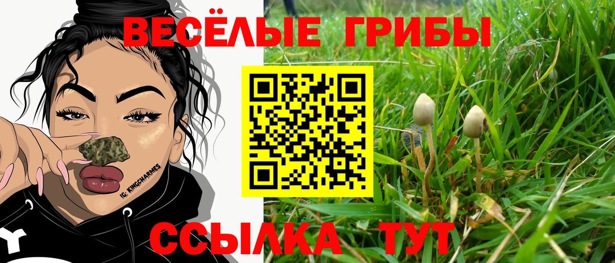 Галлюциногенные грибы GOLDEN TEACHER Домодедово