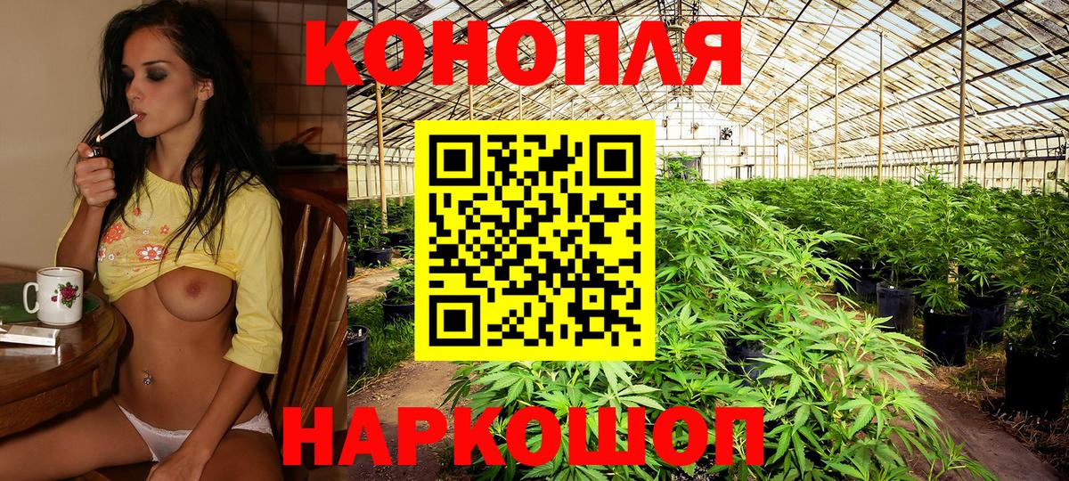Бошки марихуана SATIVA & INDICA  Конопля SATIVA & INDICA  Домодедово  МАРИХУАНА THC 21%  Бошки Шишки марихуана 