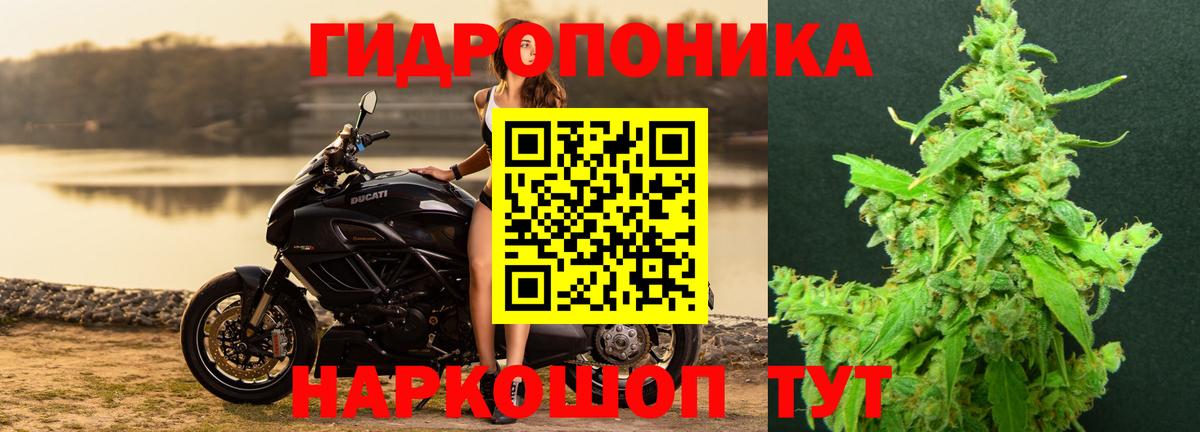 Шишки марихуана индика Домодедово